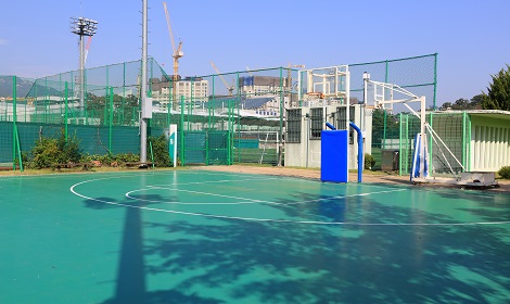 m_basket.jpg